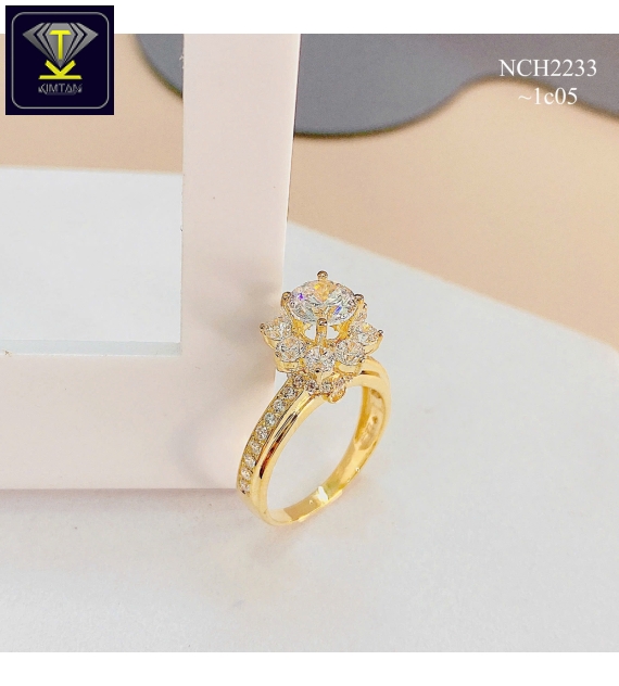 KTG-NCH2233.1C05