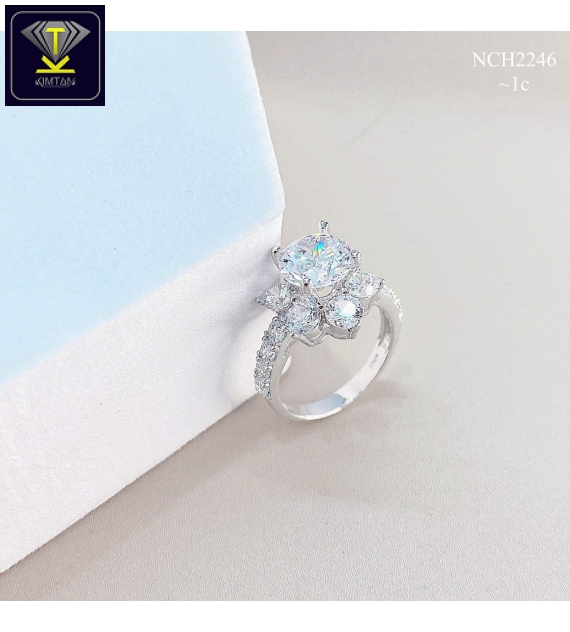 KTG-NCH2246
